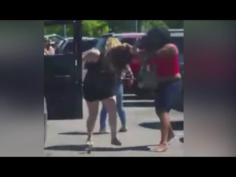 Four Women Brawl Over Zoo Parking Spot [CAUGHT ON TAPE]