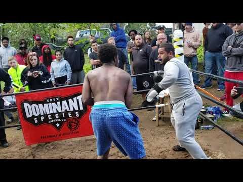 STREETBEEFS THE EMPEROR VS D. O. T